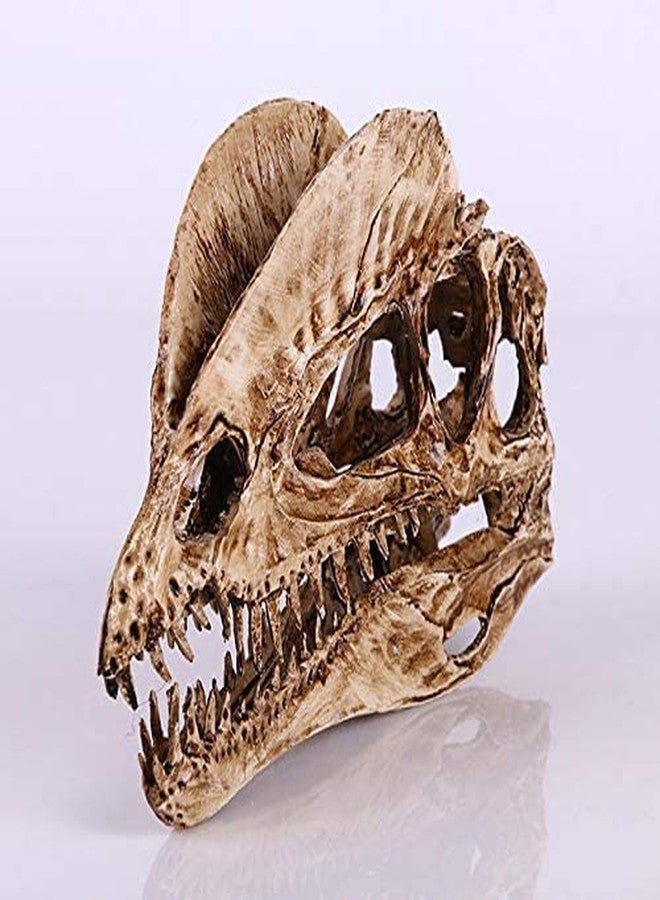 Koolouispoper T-Rex Skull Dinosaur Resin Craft Gifts Home Decor Replica Fish Tank Statue Tyrannosaur Skull Skeleton Aquarium Decoration (A) - Image 4